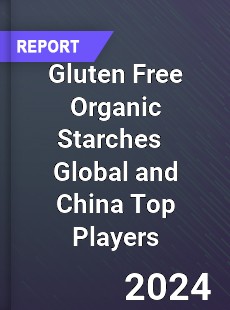 Gluten Free Organic Starches Global and China Top Players Market