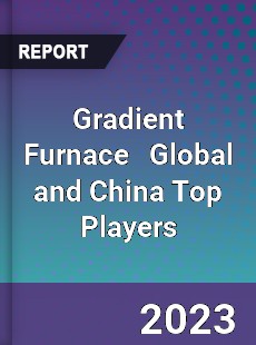 Gradient Furnace Global and China Top Players Market