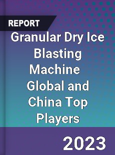 Granular Dry Ice Blasting Machine Global and China Top Players Market