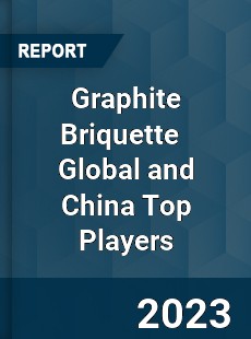 Graphite Briquette Global and China Top Players Market