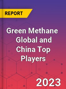 Green Methane Global and China Top Players Market