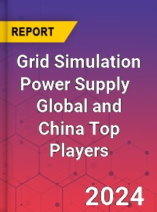 Grid Simulation Power Supply Global and China Top Players Market