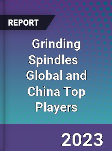 Grinding Spindles Global and China Top Players Market