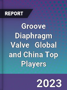 Groove Diaphragm Valve Global and China Top Players Market