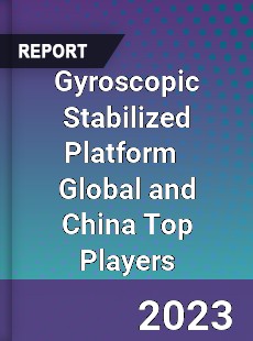 Gyroscopic Stabilized Platform Global and China Top Players Market