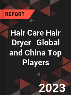 Hair Care Hair Dryer Global and China Top Players Market