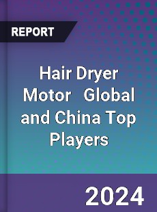 Hair Dryer Motor Global and China Top Players Market