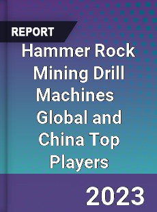 Hammer Rock Mining Drill Machines Global and China Top Players Market