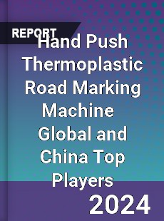 Hand Push Thermoplastic Road Marking Machine Global and China Top Players Market