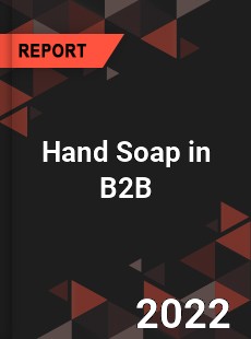 Hand Soap in B2B Market