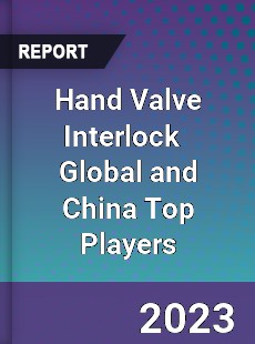 Hand Valve Interlock Global and China Top Players Market