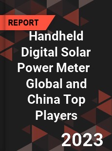 Handheld Digital Solar Power Meter Global and China Top Players Market