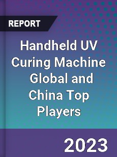 Handheld UV Curing Machine Global and China Top Players Market