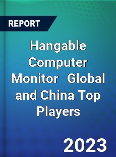 Hangable Computer Monitor Global and China Top Players Market