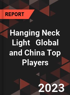 Hanging Neck Light Global and China Top Players Market