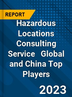 Hazardous Locations Consulting Service Global and China Top Players Market