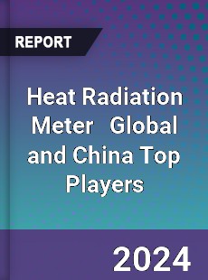 Heat Radiation Meter Global and China Top Players Market