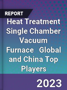 Heat Treatment Single Chamber Vacuum Furnace Global and China Top Players Market