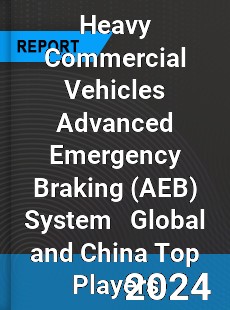 Heavy Commercial Vehicles Advanced Emergency Braking System Global and China Top Players Market