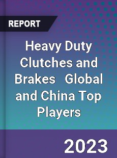 Heavy Duty Clutches and Brakes Global and China Top Players Market