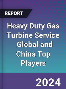 Heavy Duty Gas Turbine Service Global and China Top Players Market