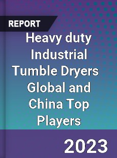 Heavy duty Industrial Tumble Dryers Global and China Top Players Market