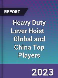 Heavy Duty Lever Hoist Global and China Top Players Market