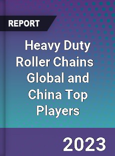 Heavy Duty Roller Chains Global and China Top Players Market