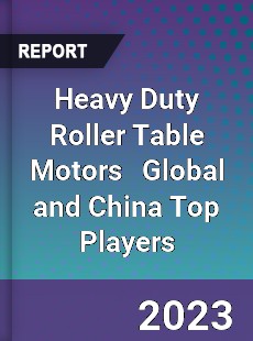 Heavy Duty Roller Table Motors Global and China Top Players Market