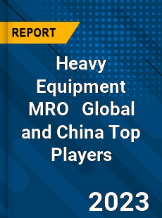 Heavy Equipment MRO Global and China Top Players Market
