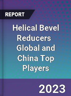 Helical Bevel Reducers Global and China Top Players Market