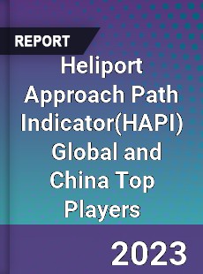 Heliport Approach Path Indicator Global and China Top Players Market