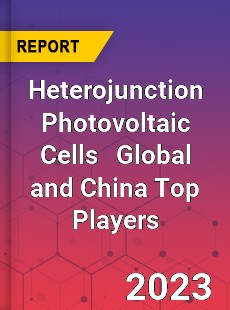 Heterojunction Photovoltaic Cells Global and China Top Players Market