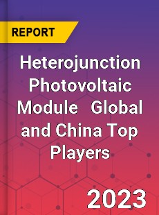 Heterojunction Photovoltaic Module Global and China Top Players Market