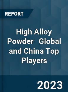 High Alloy Powder Global and China Top Players Market