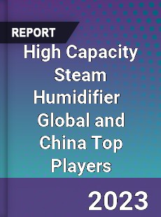 High Capacity Steam Humidifier Global and China Top Players Market