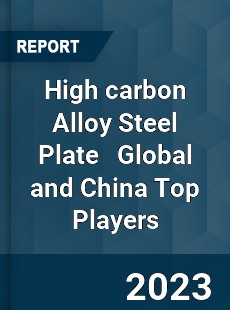 High carbon Alloy Steel Plate Global and China Top Players Market