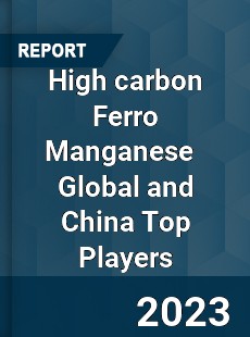 High carbon Ferro Manganese Global and China Top Players Market