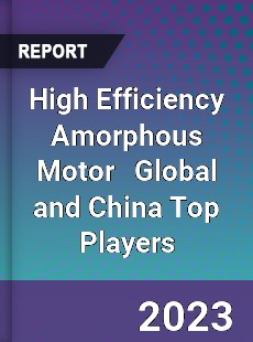 High Efficiency Amorphous Motor Global and China Top Players Market