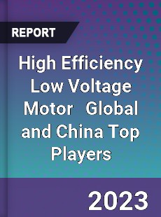 High Efficiency Low Voltage Motor Global and China Top Players Market