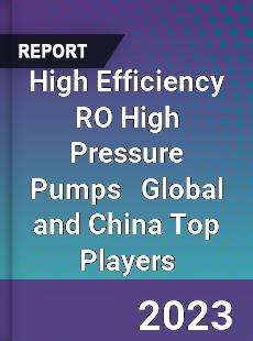 High Efficiency RO High Pressure Pumps Global and China Top Players Market