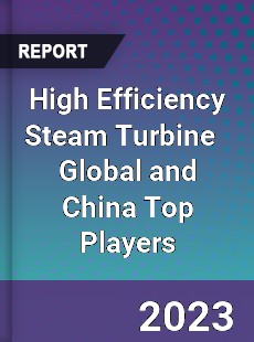 High Efficiency Steam Turbine Global and China Top Players Market