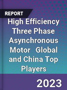 High Efficiency Three Phase Asynchronous Motor Global and China Top Players Market