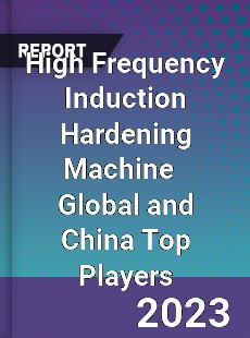 High Frequency Induction Hardening Machine Global and China Top Players Market