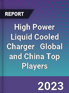 High Power Liquid Cooled Charger Global and China Top Players Market