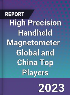 High Precision Handheld Magnetometer Global and China Top Players Market