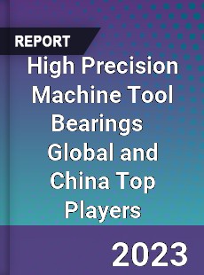 High Precision Machine Tool Bearings Global and China Top Players Market