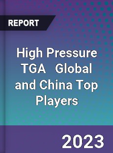 High Pressure TGA Global and China Top Players Market