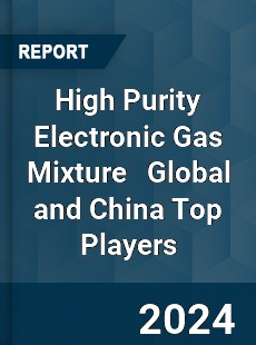 High Purity Electronic Gas Mixture Global and China Top Players Market