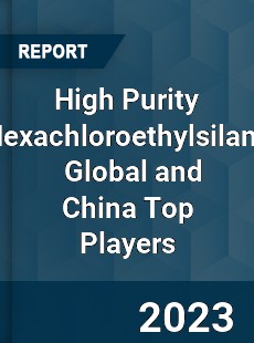 High Purity Hexachloroethylsilane Global and China Top Players Market